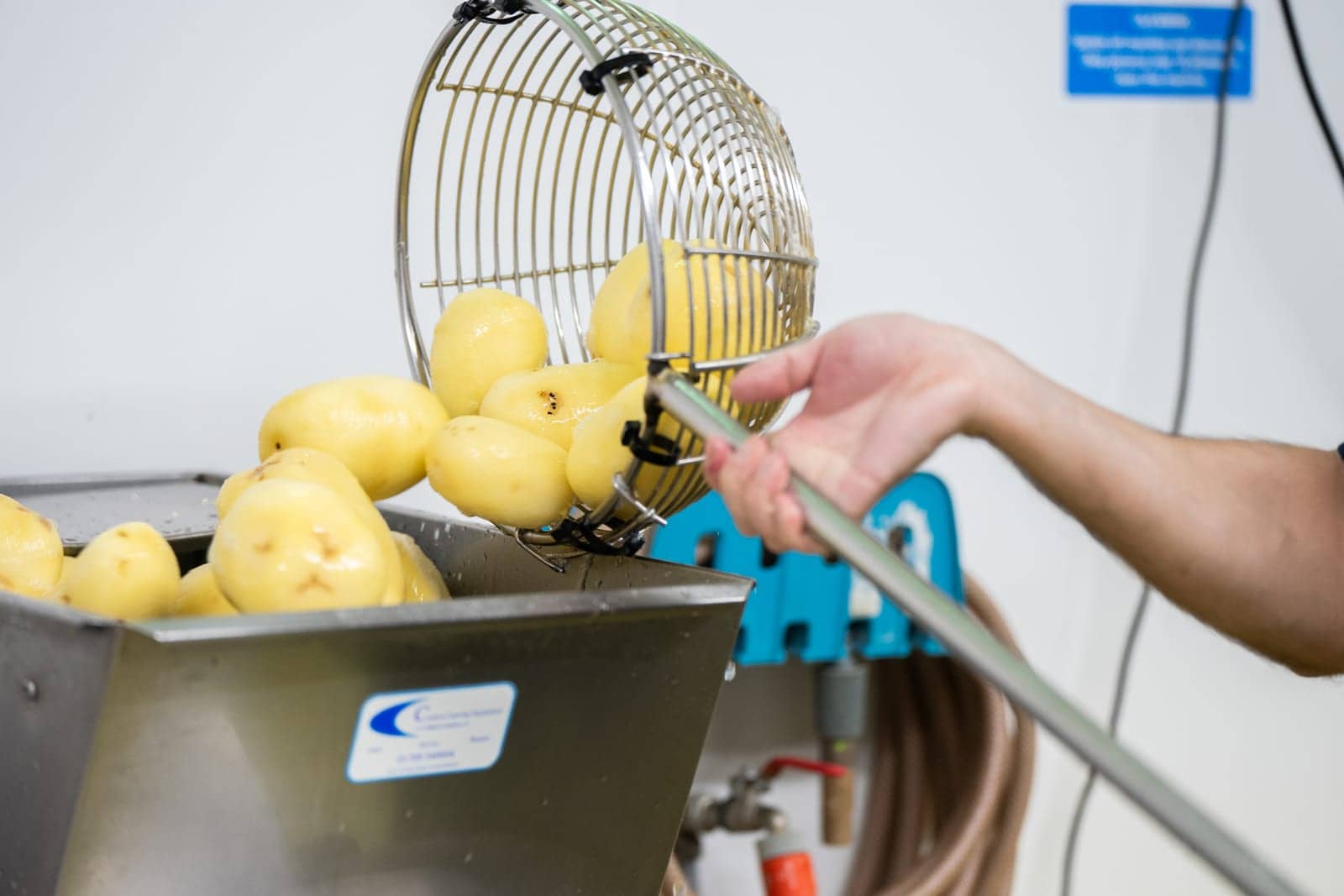 Fresh chips being lowered into the fryer